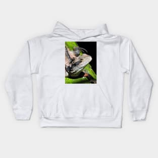 Eastern Water Dragon Kids Hoodie